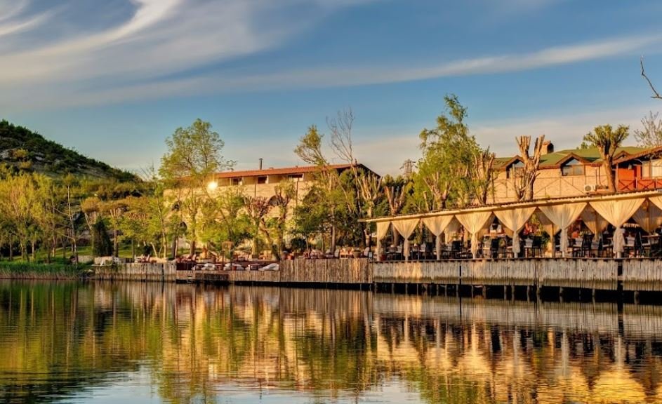 En este momento estás viendo Greenline Guest House