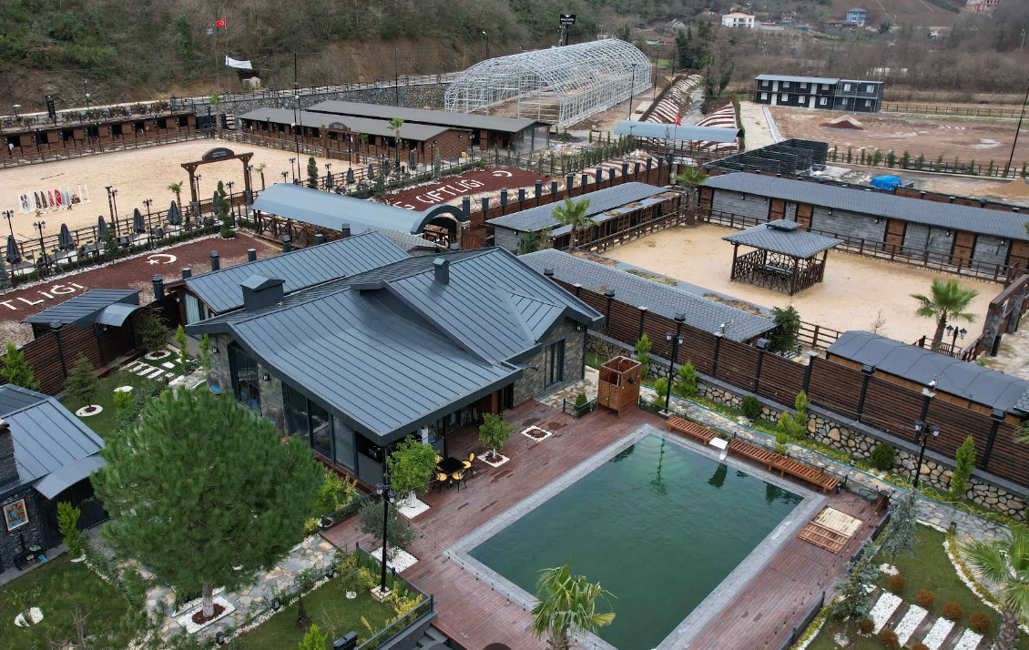 Lee más sobre el artículo King Çiftliği