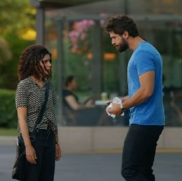 Editorial Go Flamingo