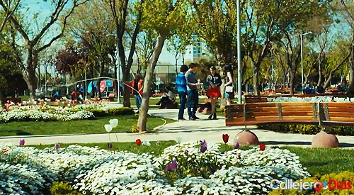 Paseo por el parque y ciruelas