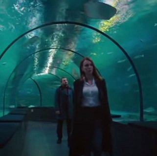 Encuentro de Zeynep con Veli en el acuario