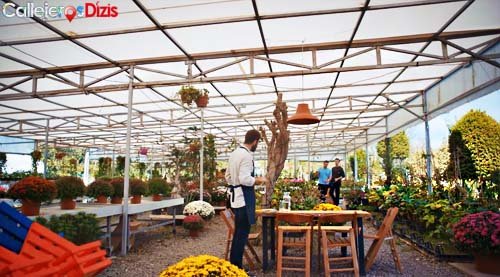 El invernadero de Vedat