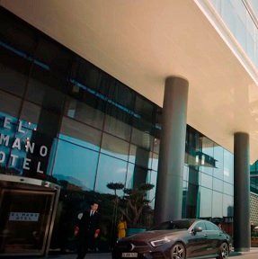 El Mano Otel - Peony Wedding