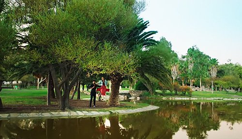 Celebrando el divorcio